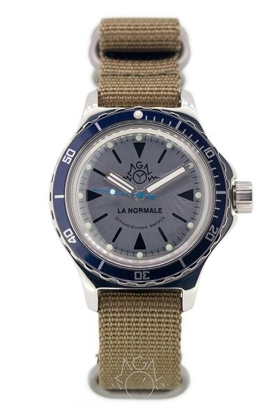 Vostok Amphibia 120MGN-01