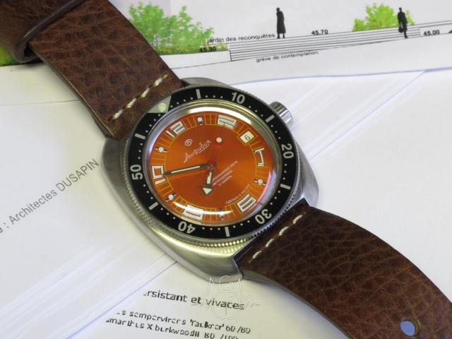 Vostok Amphibia Ministry