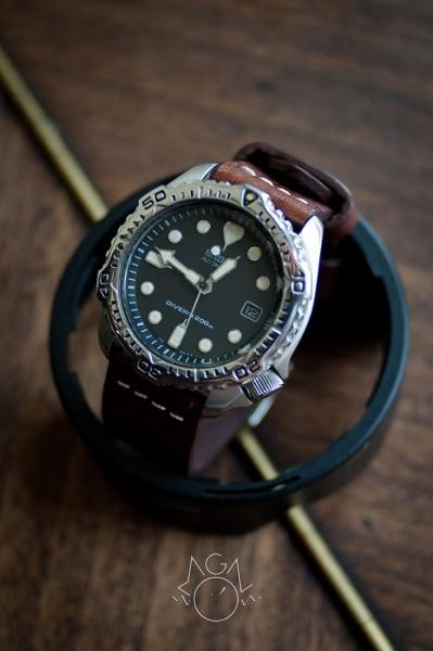 Seiko Diver 7002-7020