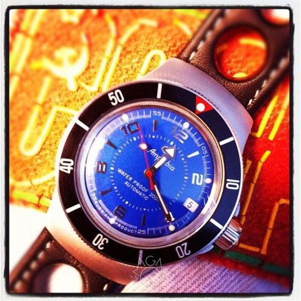 Vostok Amphibia